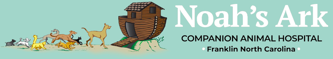 Noah's Ark Companion Animal Hospital