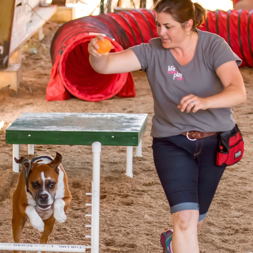 A woman and her dog navigate an obstacle