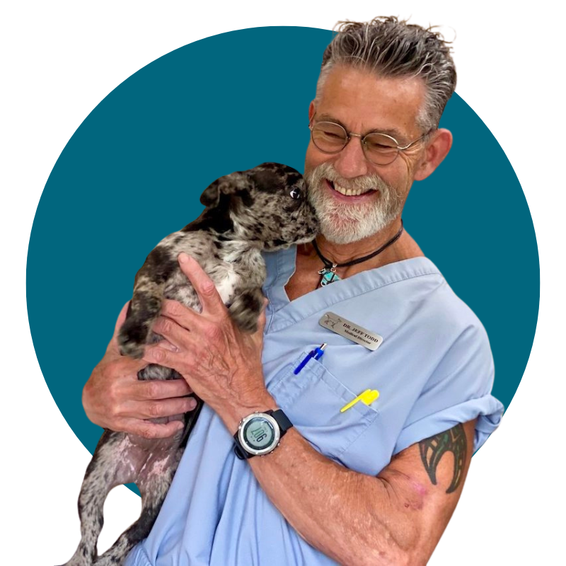 Dr. Jeff Todd with dog